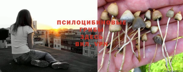 марки nbome Богородск