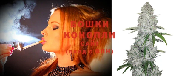 PSILOCYBIN Бородино