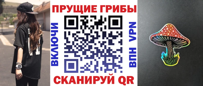 Купить где  Коммунар  Псилоцибиновые грибы GOLDEN TEACHER 